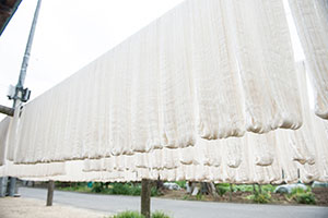 備後節織,備後絣,藍染,柿渋染,墨染,木綿生地,絣,先染め,広島,絣